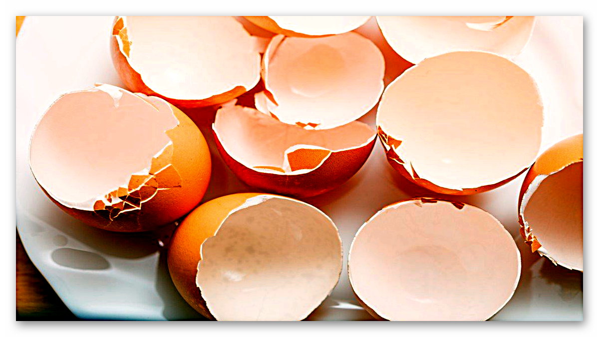 Bataryalardaki Lityum İyon Teknolojisi, Yerini Yumurta Kabuklarına Bırakabilir