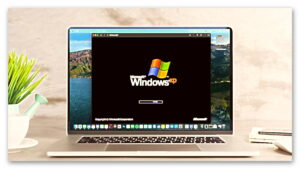 windows-xp