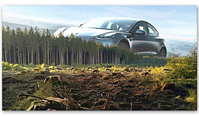Hadi Yaaa! Tesla 500 bin ağaç kesti, Almanya karıştı!  “Bizi geçtimi acaba?”