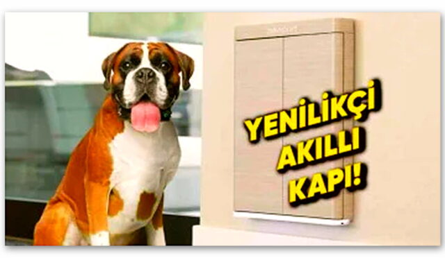 Evcil Hayvan Güvenliğini Üst Düzeye Taşıyan Yepyeni Bir Akıllı Kapı Tanıtıldı: Aklınız Evde Kalmayacak