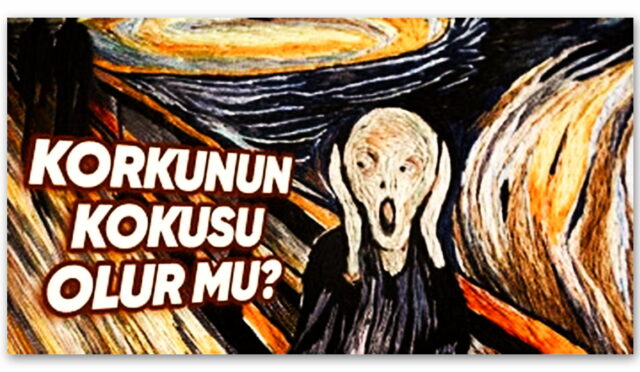 Farkında Olmadan Korkunun Kokusunu Alıyor Olabilir miyiz? Araştırmalar Bu Soruyu Yanıtlıyor!
