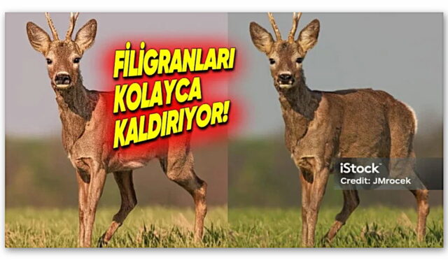 Gemini, Telif Hırsızlarına Maşa Oldu: Görsellerdeki Fligranları Kolayca Kaldırıyor!
