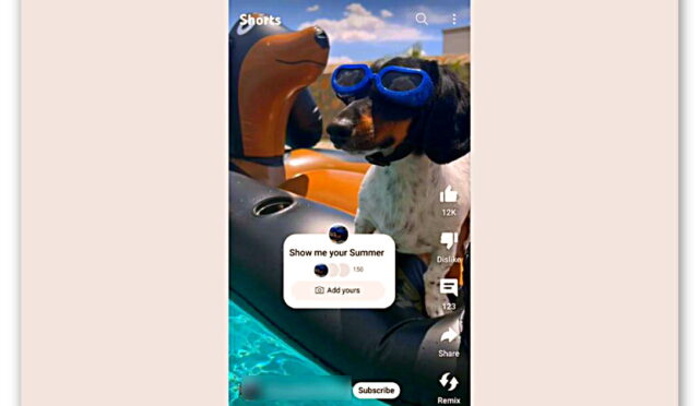 YouTube Shorts’a Google Lens Geliyor: Gördüğünüz Her Şeyin Ne Olduğunu, Fiyatını Öğrenebileceksiniz