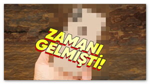 Apple Zamanında Sevilen Bir iPhone Modelini Daha Külüstür İlan Etti