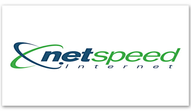 Netspeed Siber Saldırıya Uğradı: Sosyal Medyadaki İddialara Jet Hızıyla Açıklama Geldi!