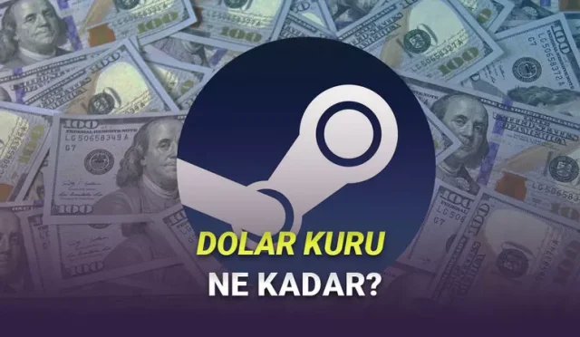 TL Desteğini Bırakalı 2 Yıl Olmuş