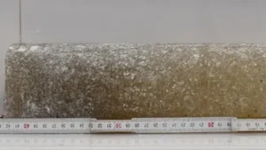 Antarktika'daki zaman makinesi 6 milyon yıl geri gitti