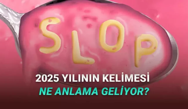 AI Slop ifadesi tam olarak ne anlama geliyor.