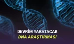 DNA'nın Ne Kadar Bir Alana Sıkıştırıldığı İlk Kez Net Bir Şekilde Görüntülendi