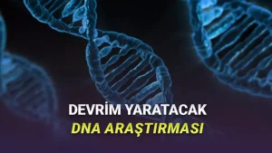 DNA'nın Ne Kadar Bir Alana Sıkıştırıldığı İlk Kez Net Bir Şekilde Görüntülendi