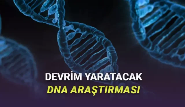DNA’nın Ne Kadar Bir Alana Sıkıştırıldığı İlk Kez Net Bir Şekilde Görüntülendi [Video]