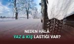 Dört Mevsim Lastiği Varken Neden Hâlâ Yaz ve Kış Lastikleri Var