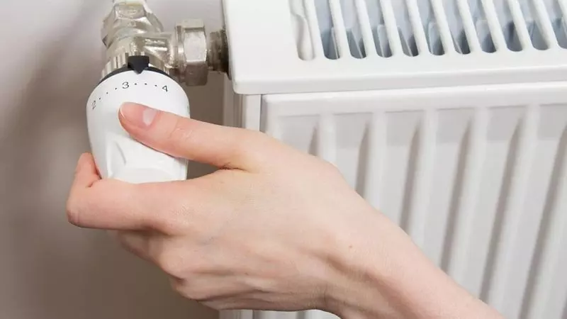 Evdeki Peteklerin Havası Nasıl Alınır?