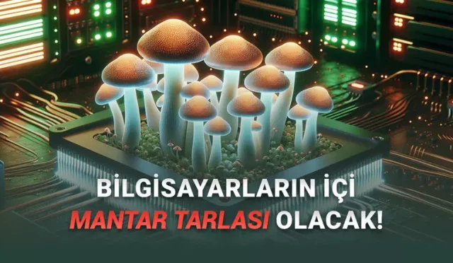 Mantarların Bilgisayarlarda RAM Olarak Kullanılabileceği Keşfedildi