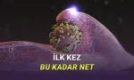 grip virüslerinin vücudumuza nasıl sızdığı ise şimdiye kadar hiç bu kadar net görülmemişti.
