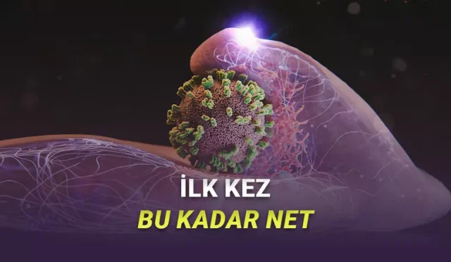 grip virüslerinin vücudumuza nasıl sızdığı ise şimdiye kadar hiç bu kadar net görülmemişti.